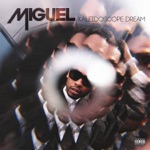 Miguel - The Thrill