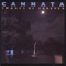 Fortune Teller - CANNATA lyrics