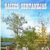Raízes Sertanejas, Vol. 4