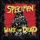 Specimen - Every Day Is Halloween