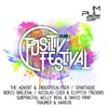 Compilation Positiv Festival