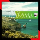 Reg Keating - Boys of Kilkenny