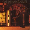 Salamakannel, 1989