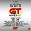 Roots, Reggae & Dancehall (The Best of GT Muzik, Vol. 1)