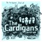 Pooh Song - The Cardigans lyrics