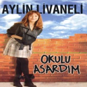 Okulu Asardım artwork