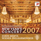 Neujahrskonzert (New Year's Concert) 2007 artwork