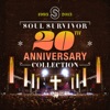 Soul Survivor: 20th Anniversary Collection, 2013