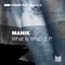 What Is Who? - Manik lyrics