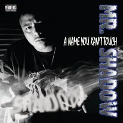 A Name You Kan't Touch (Explicit Version) - Mr. Shadow