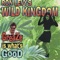 Mr. Mr. Blasta from the Past'da - Ron Levy's Wild Kingdom lyrics