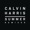 14. Calvin Harris - Summer