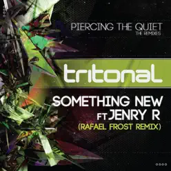Something New (feat. Jenry R) [Rafael Frost Remix] - Single - Tritonal