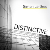 Distinctive (Lounge and Chill Out Album Selection) artwork