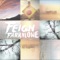 Another Storm - Feign lyrics