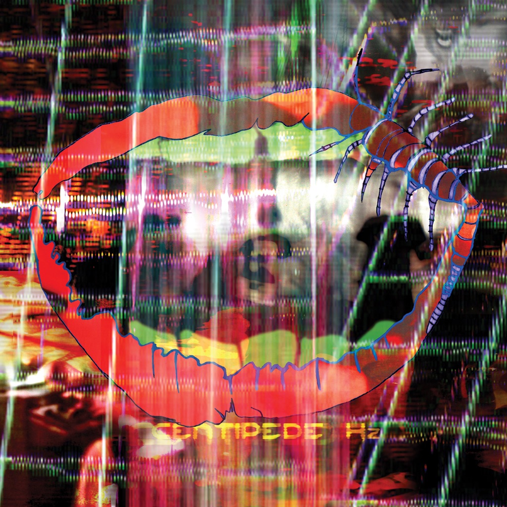 Animal Collective: Next Steps