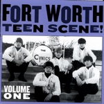 Fort Worth Teen Scene!, Vol. 1