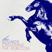 Goodnight Freddy - The Sounds