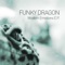 Day Of Insomnia - Funky Dragon lyrics