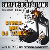 Sarà perché ti amo (Dance Remix) artwork