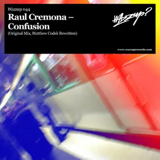 Confusion by Raul Cremona song reviws