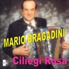 Mario Bragadini - Mia cara vienna