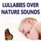 Lullabies Over a Lakeside At Night - Lullaby lyrics