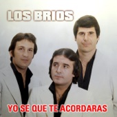 Los Brios - De Muchas Cosas Tengo Miedo