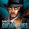 Discover - Guitar Blues, 2013