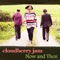 Now and Then ジャケット写真