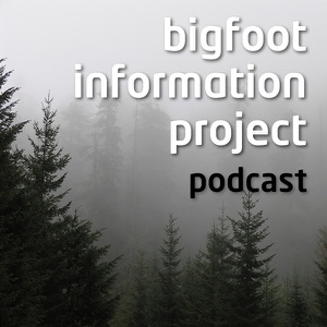 BIPcast 6: Area X