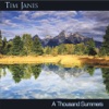 Tim Janis - A Thousand Summers