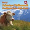 Langsam aber sicher (Polka) - Kapelle Ludwig Oswald lyrics