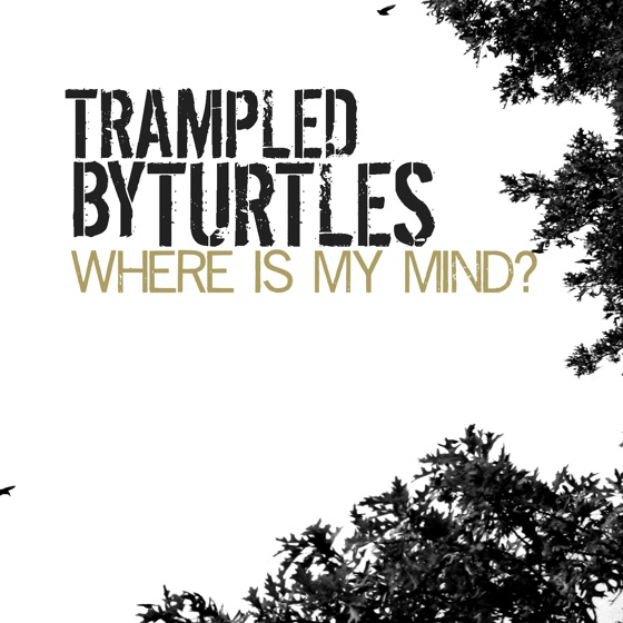 Cover artwork for Where Is My Mind?