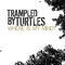 Where Is My Mind? - Trampled By Turtles lyrics