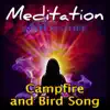 Campfire and Bird Song album lyrics, reviews, download