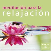 Meditación para la Relajación: Vive la Meditación artwork