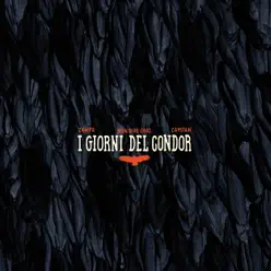 I giorni del condor - Zampa I giorni del condor - Zampa