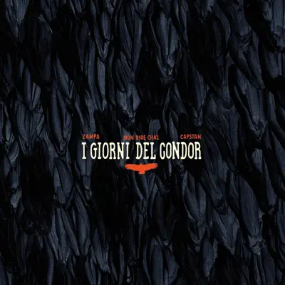 I giorni del condor - Zampa