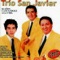 15 Primaveras - Trio San Javier lyrics