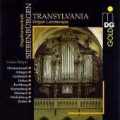 Transylvania Organ Landscape artwork