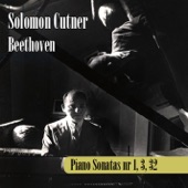 Ludwig Van Beethoven : Piano Sonata No.1 in F minor op.2 - I. Allegro artwork