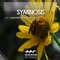 Symbiosis (Type 41 Remix) - Ascania lyrics