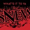 Clever Girl - Snew lyrics