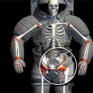 HRPNN - Bone Research