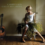 Carrie Elkin - The Things We're Afraid of