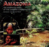 Amazonia artwork