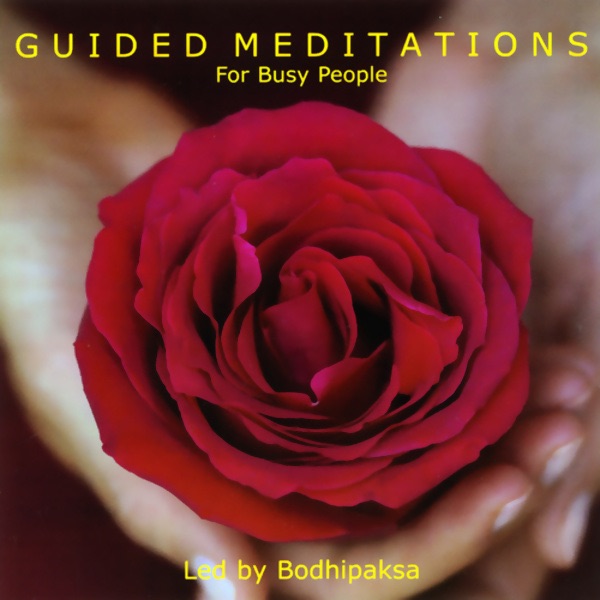 Bodhipaksa Guided Meditations for Busy People (Unabridged) Album Cover