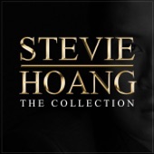 Stevie Hoang: The Collection artwork