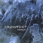 Crowfoot - Dragonflying